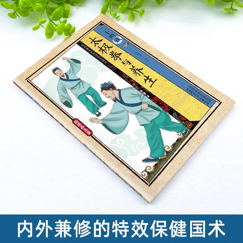 24 stijlen Tai Chi en gezondhe - Health & Wellness Alegria recensie en prijs