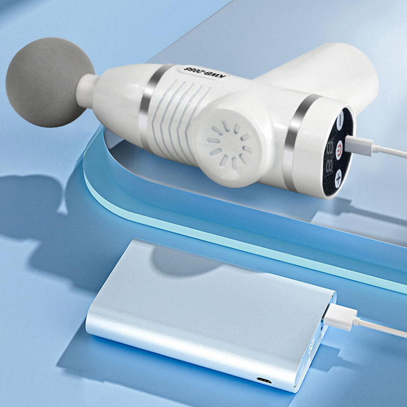 Massagepistool met 12 massagek - Health Wellness Massage recensie en prijs