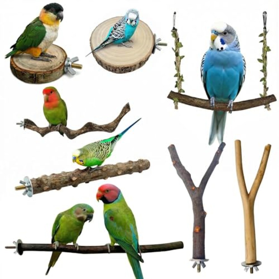 8 stuks natuurlijke houten vog - Health & Wellness Alegria recensie en prijs